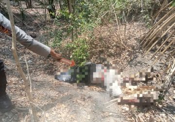 Empat Hari Tak Terlihat, Petrus Ditemukan Meninggal di Hutan Takari